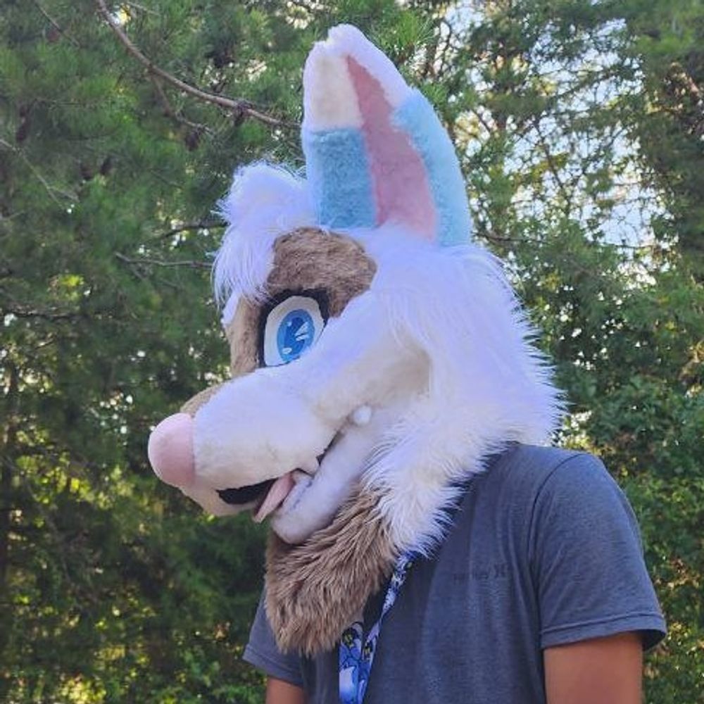 Umi🔜FWA’25