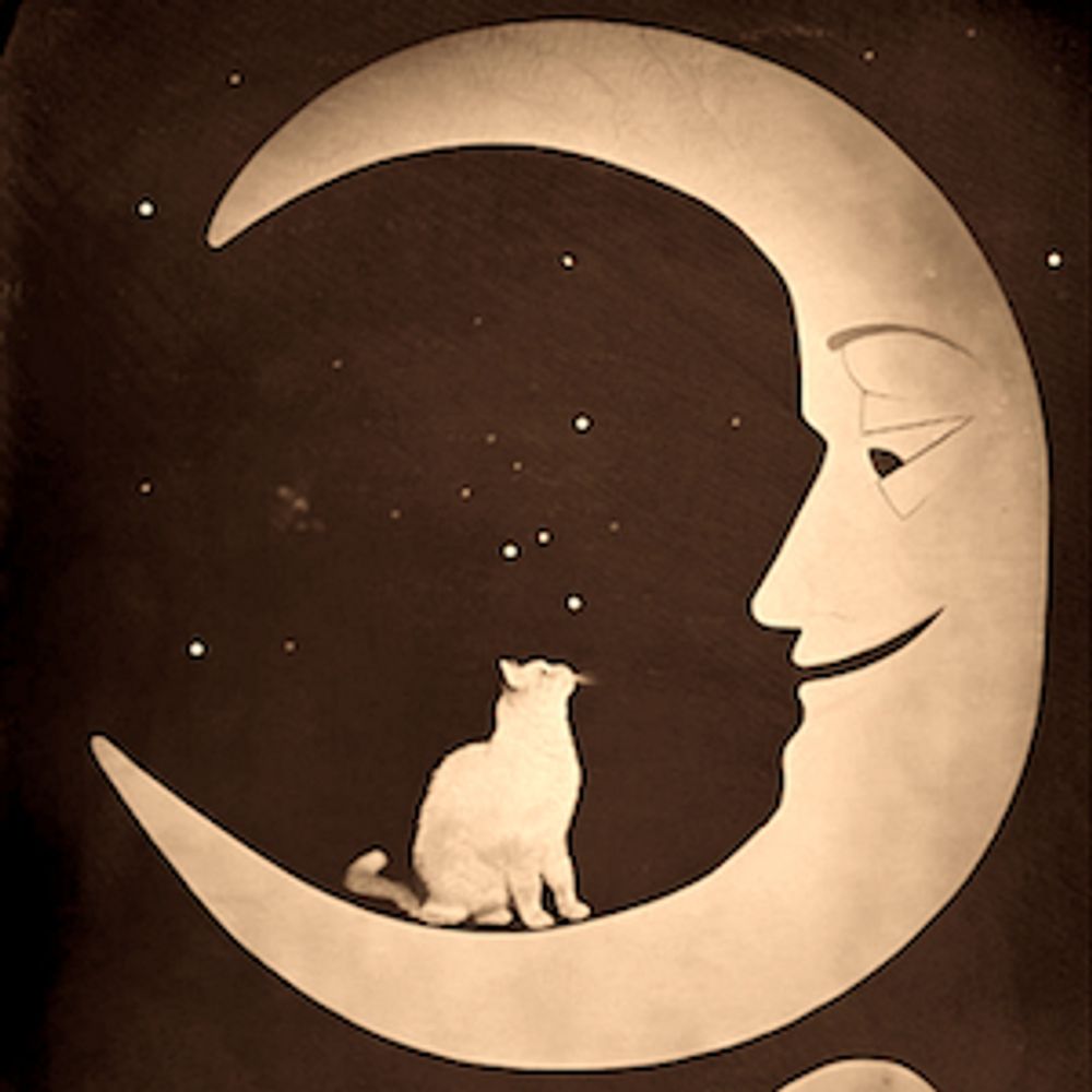 Robert Riley Astrology