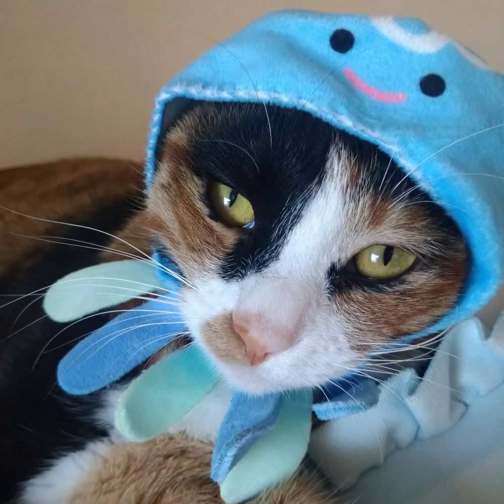 ママりん