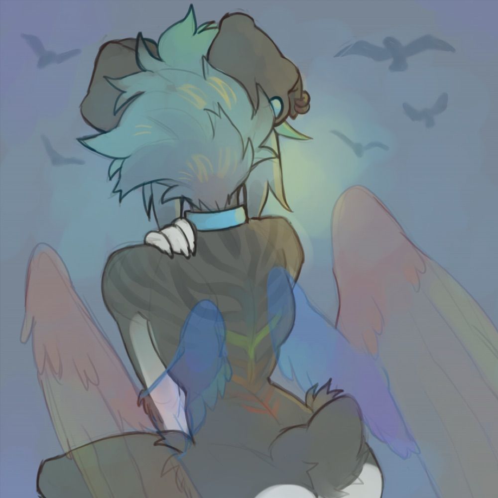 ClouddPvppy