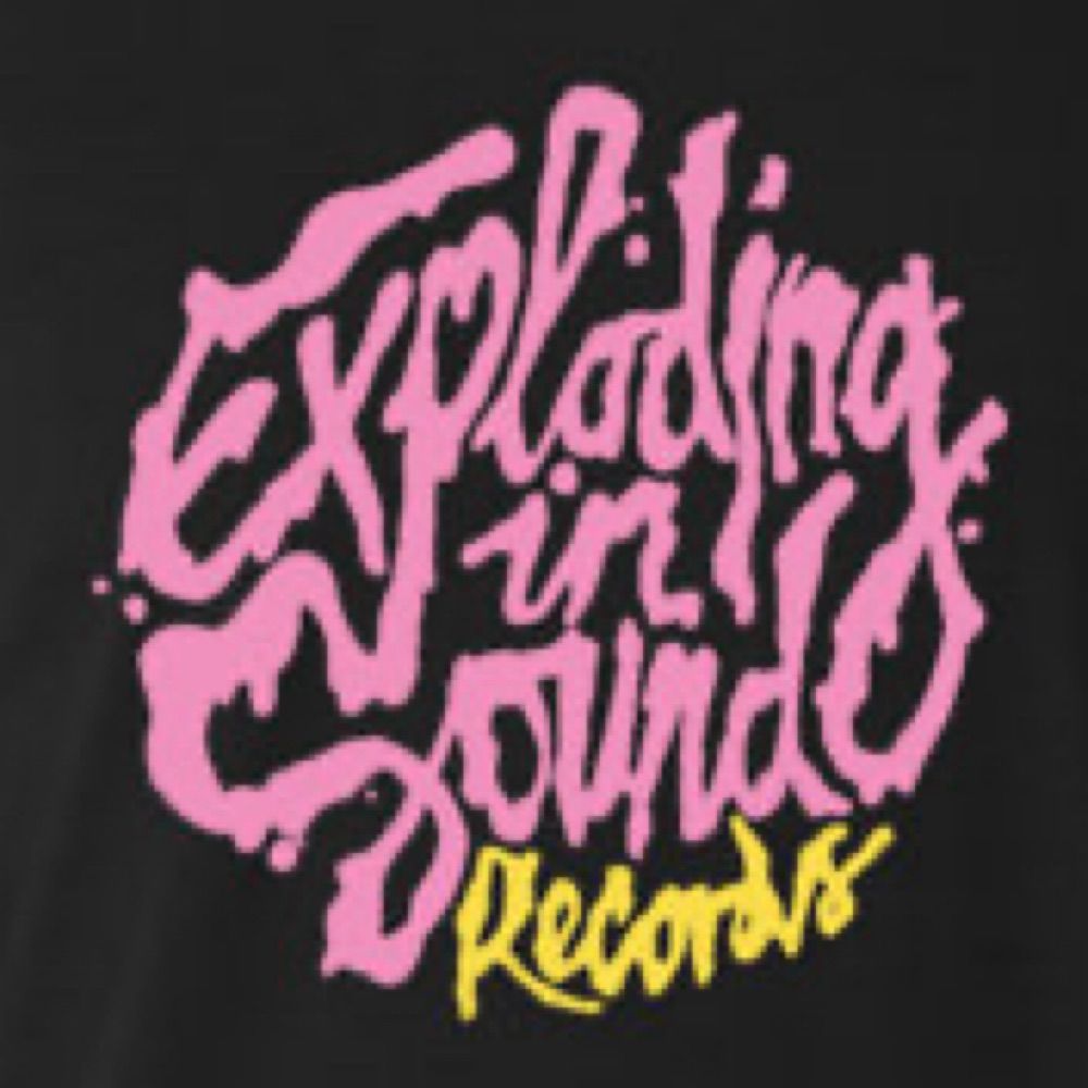 Exploding In Sound Records