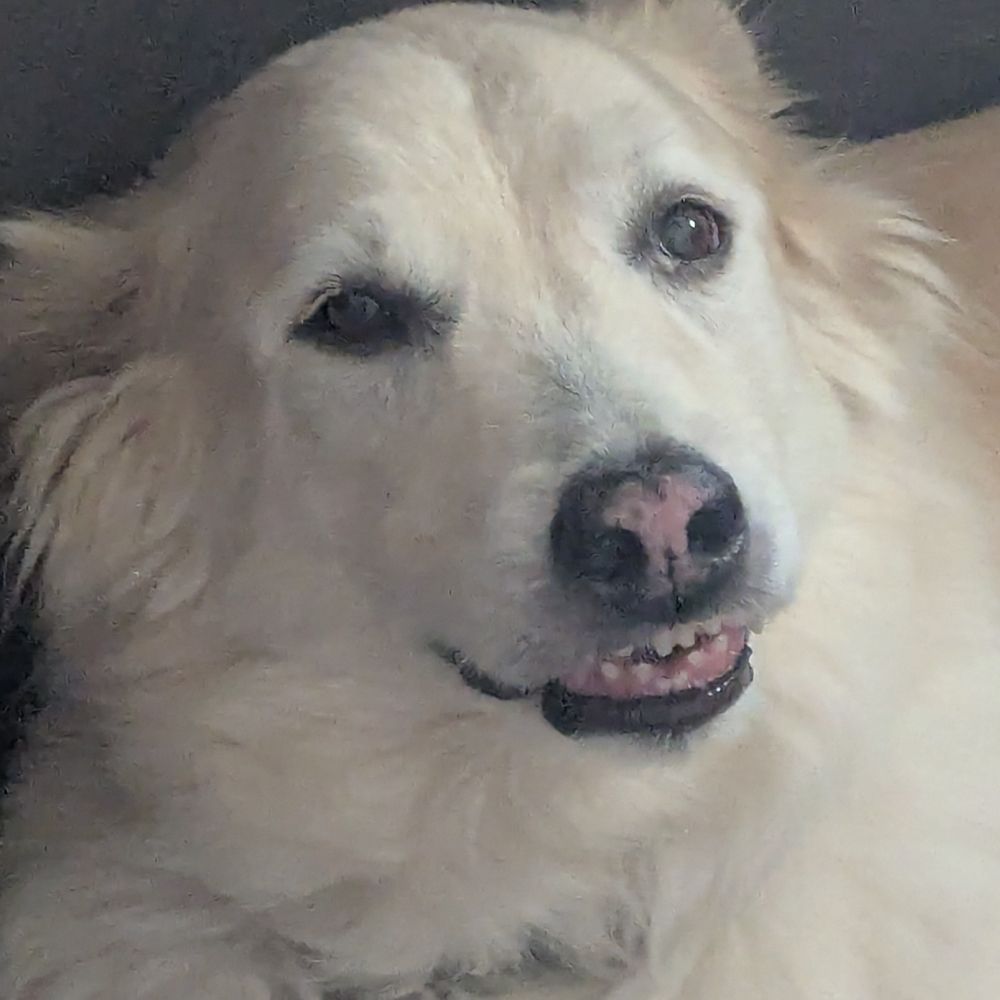 Tucker P