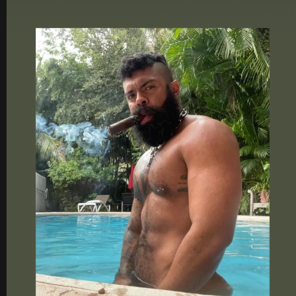 Magnus bull JFF palm spring / Chicago IML