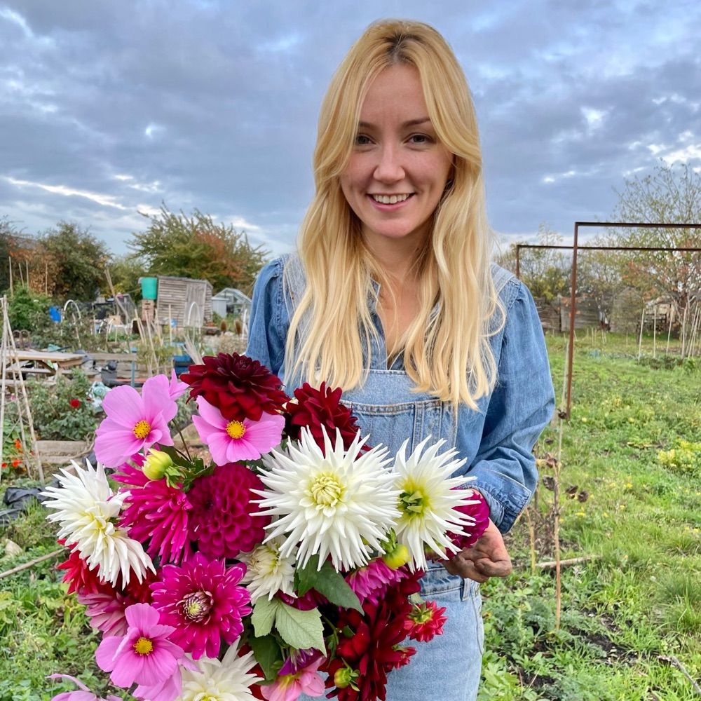 Aoife O Driscoll