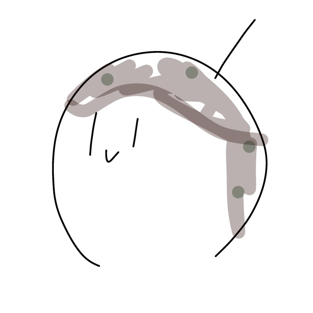 たこやん