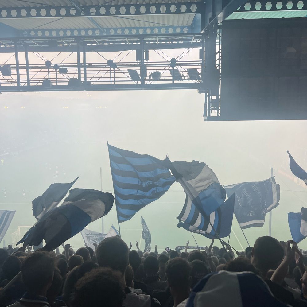Arminia33602