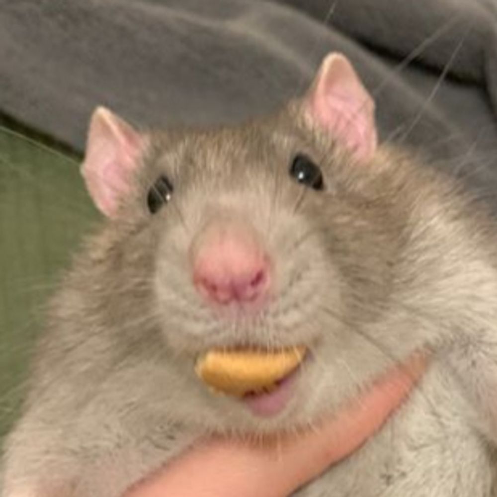 Mayimster