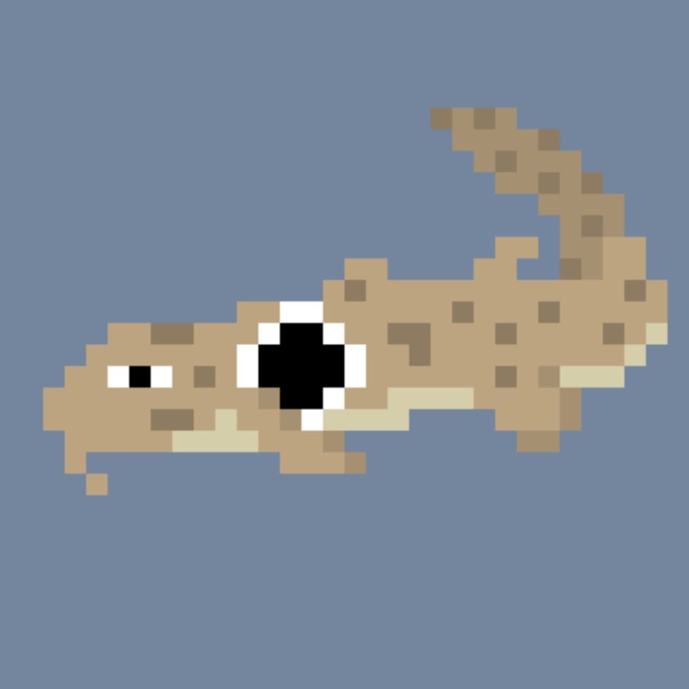 Epixelette Shark's avatar