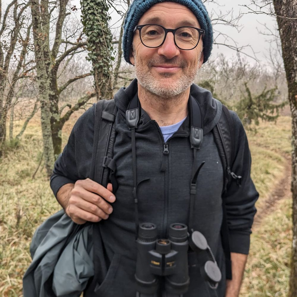 Alessio Mortelliti