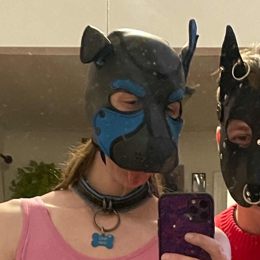 trash mutt