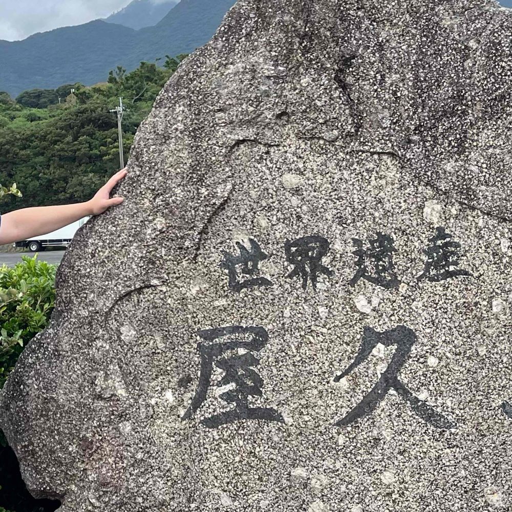 こよこよてんてー