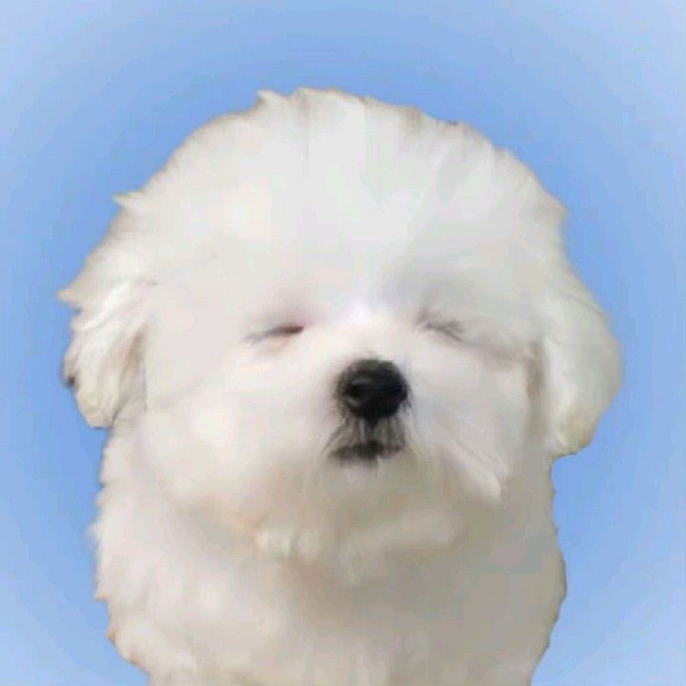 𝐨𝐫𝐠𝐚𝐧𝐢𝐜