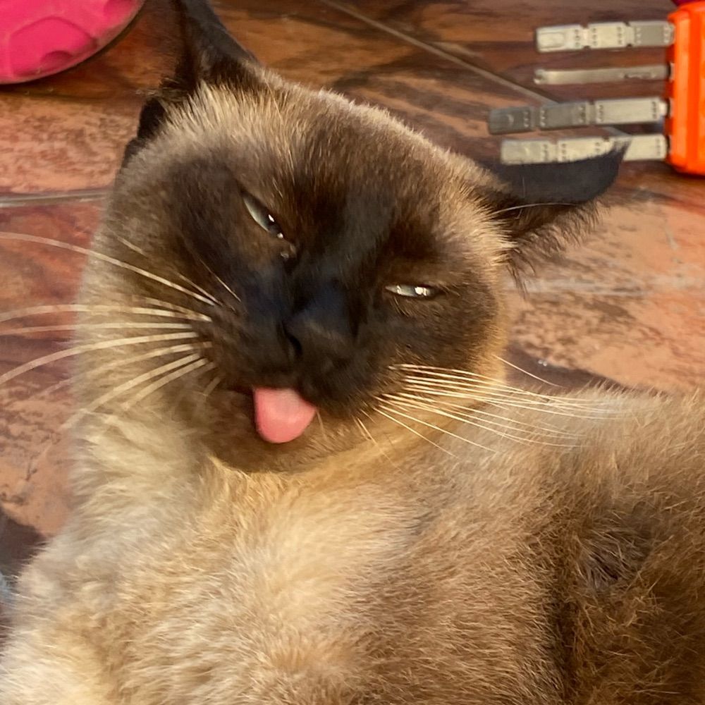 Jully 