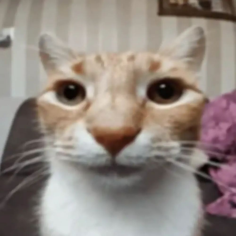 Phillip