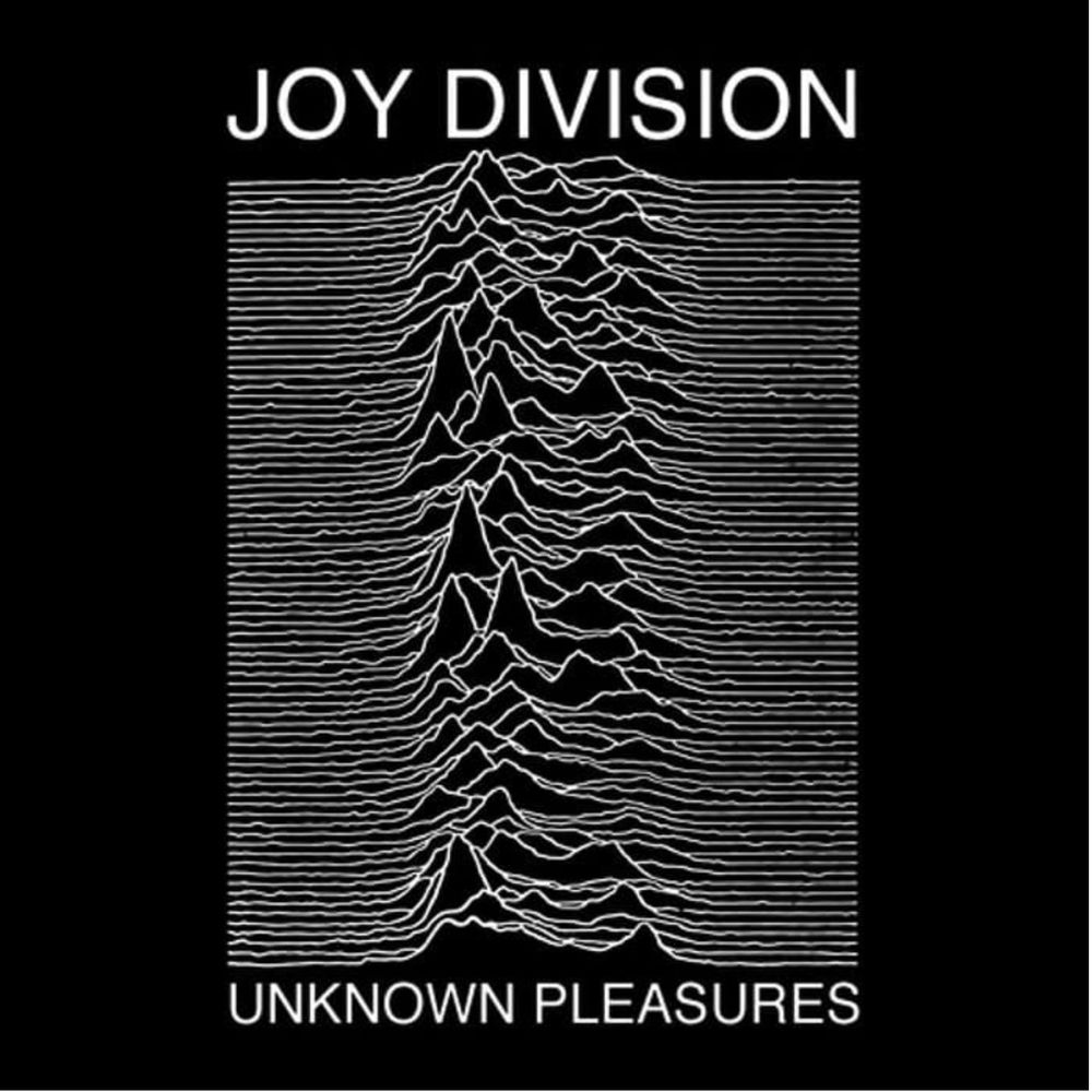 Joy Divison