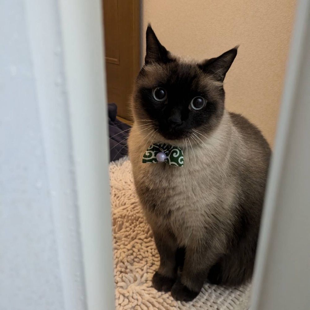 Tobias