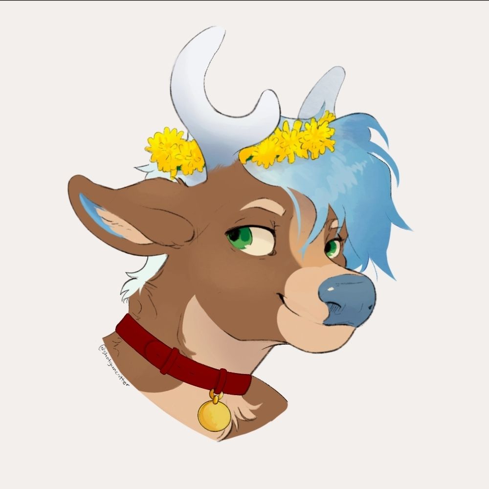 Antler Boy