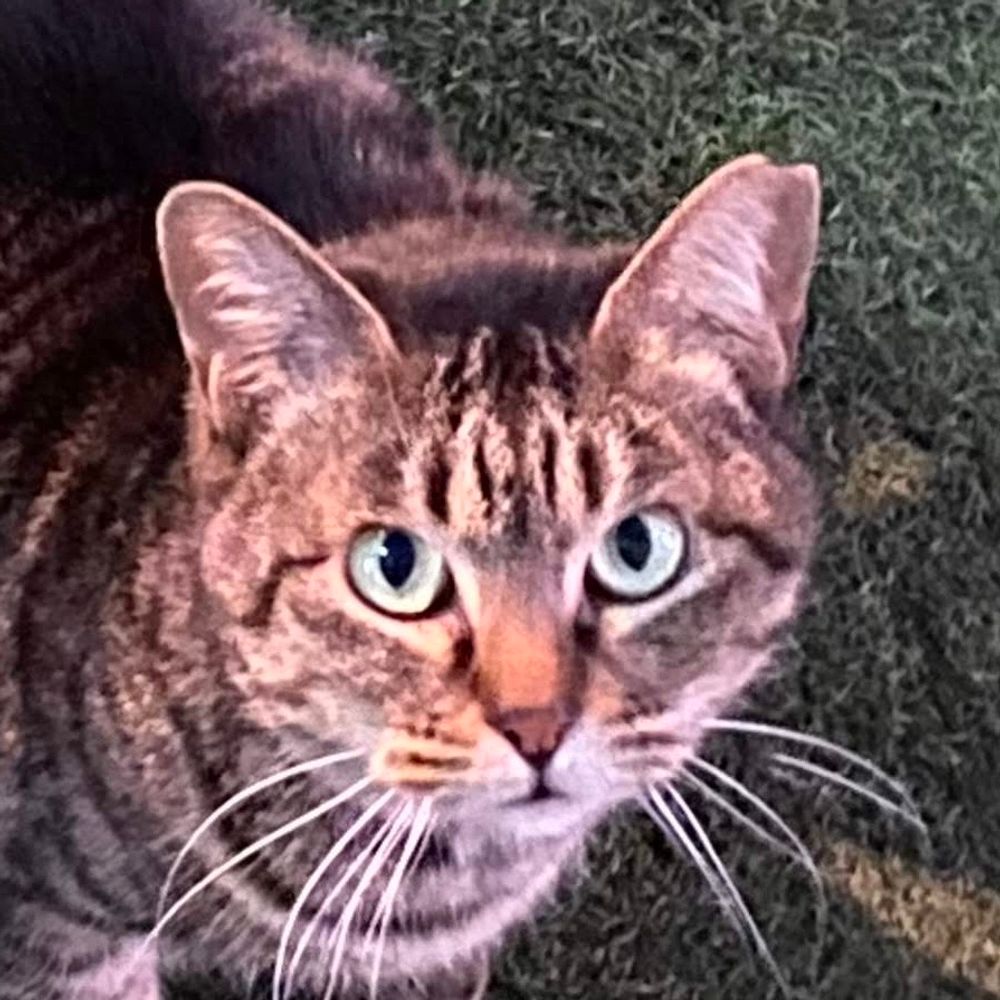 tabasa