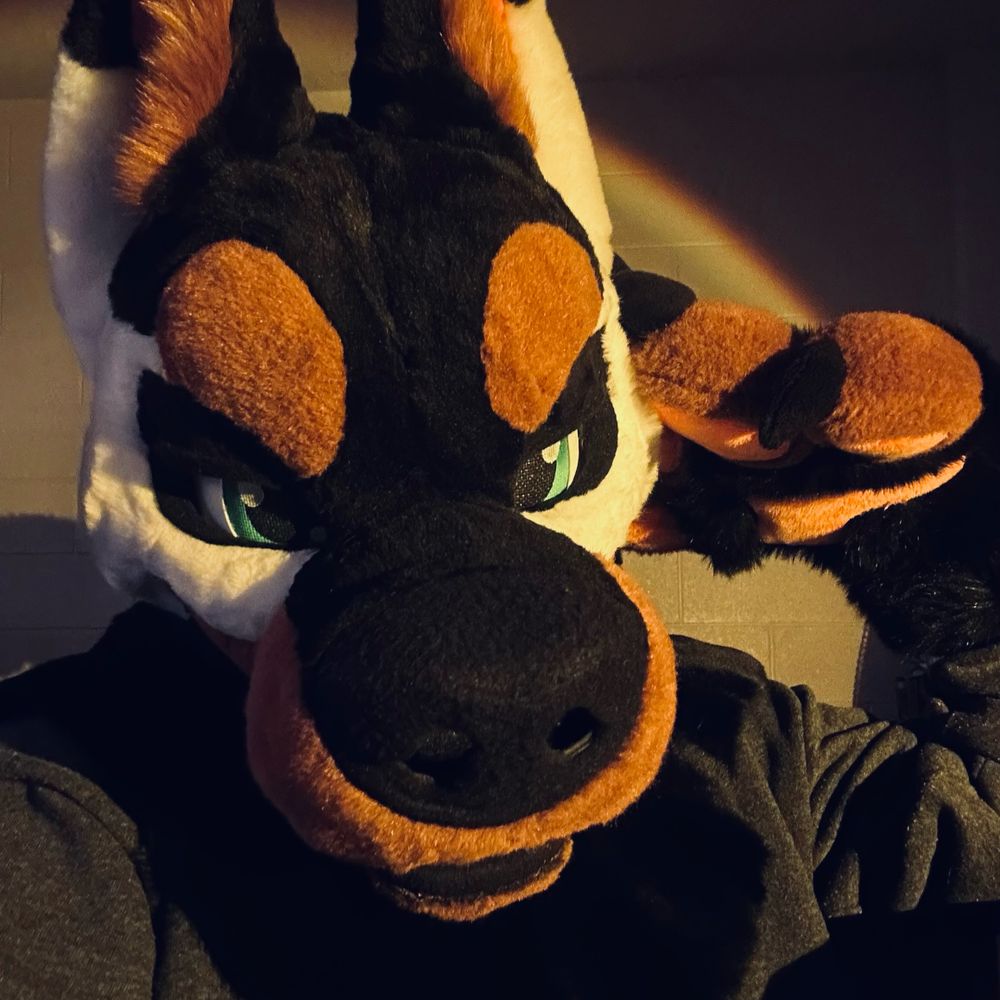 Floofifox