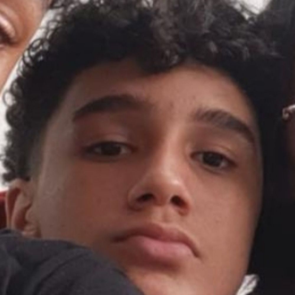 Passarinho🐦