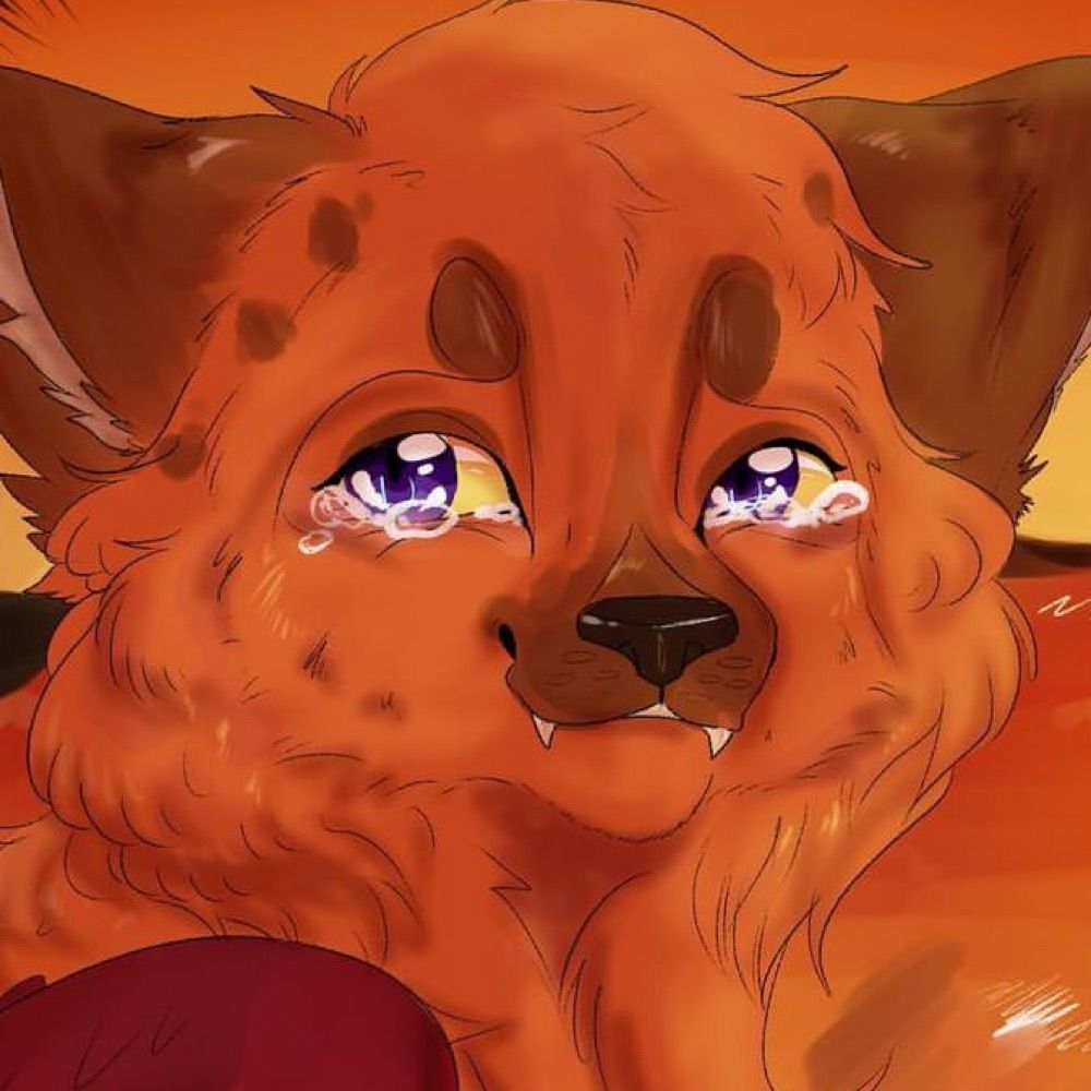 Jaxxie • Artist