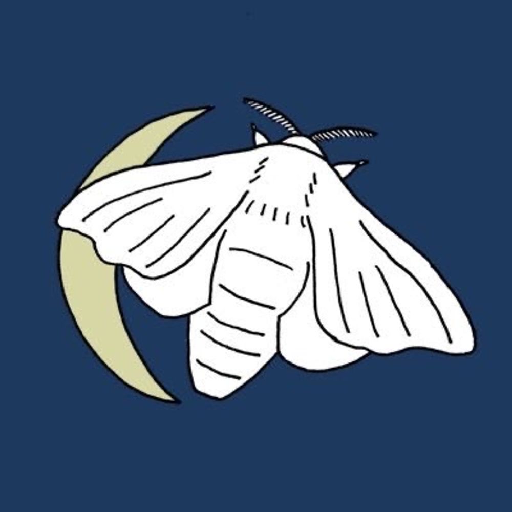 ウエニシ アヤ