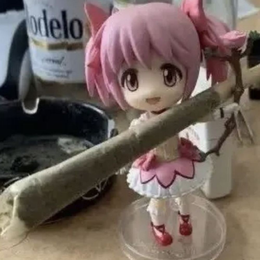 Macu 
