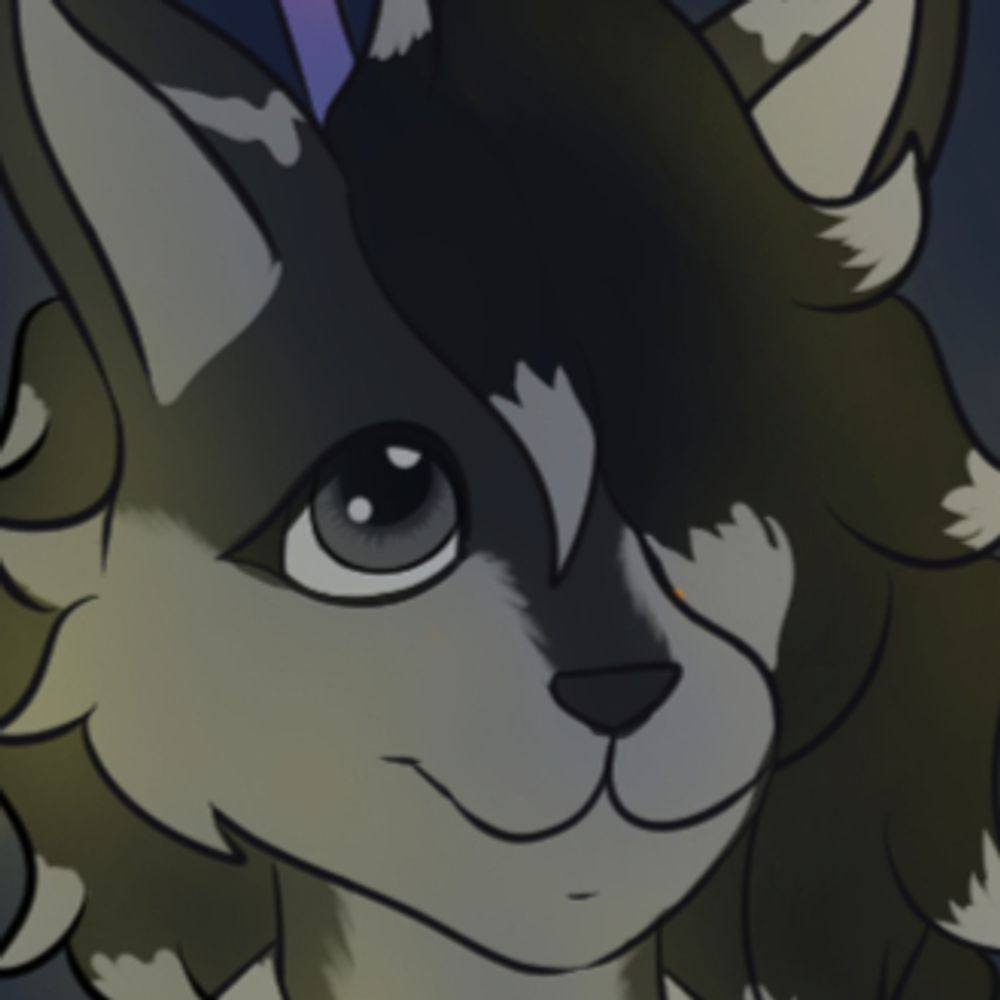 Polrr / NYX