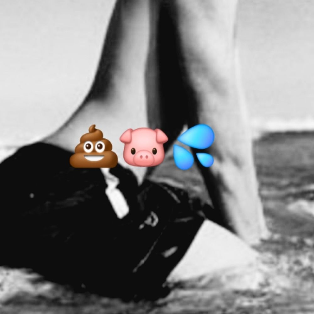 Pedrin Pig