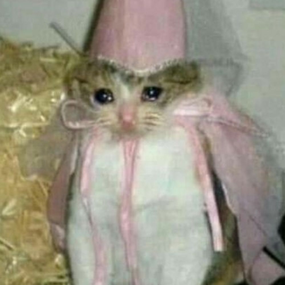 bizoro cabecinha 