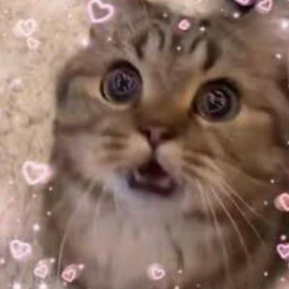 Lor