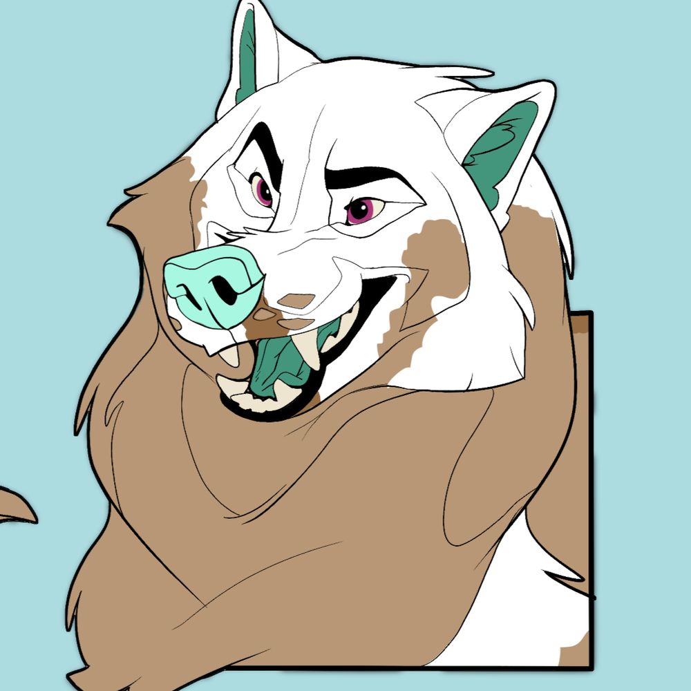 noxythebear.bsky.social profile picture