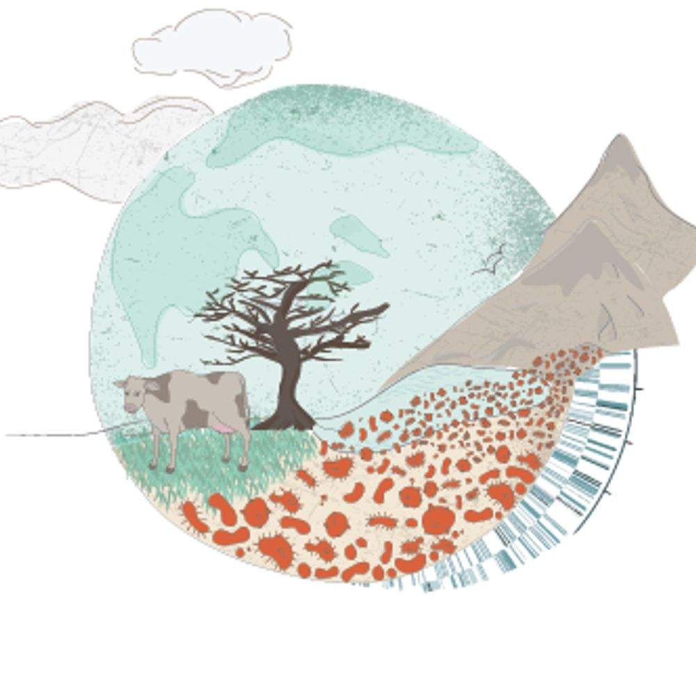 Mizrahi Lab