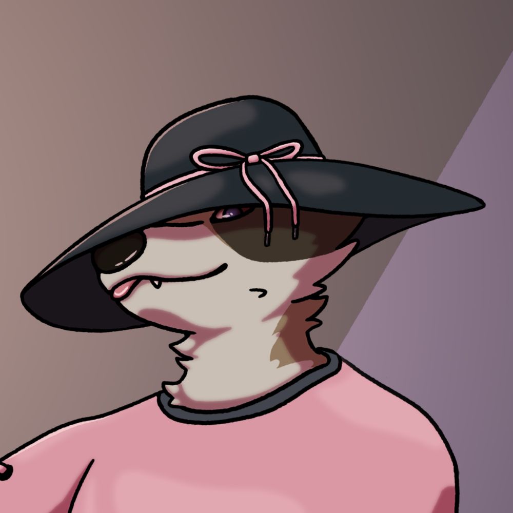 WaschbarRaccoon