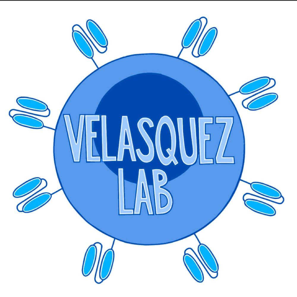 Velasquez lab