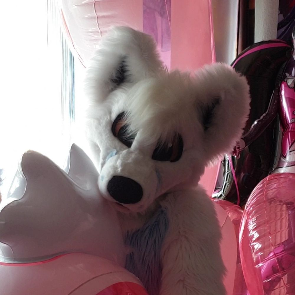 FluffyDog