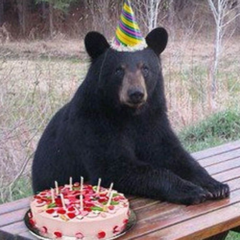 BIRTHDAY SAM 🎂🎉