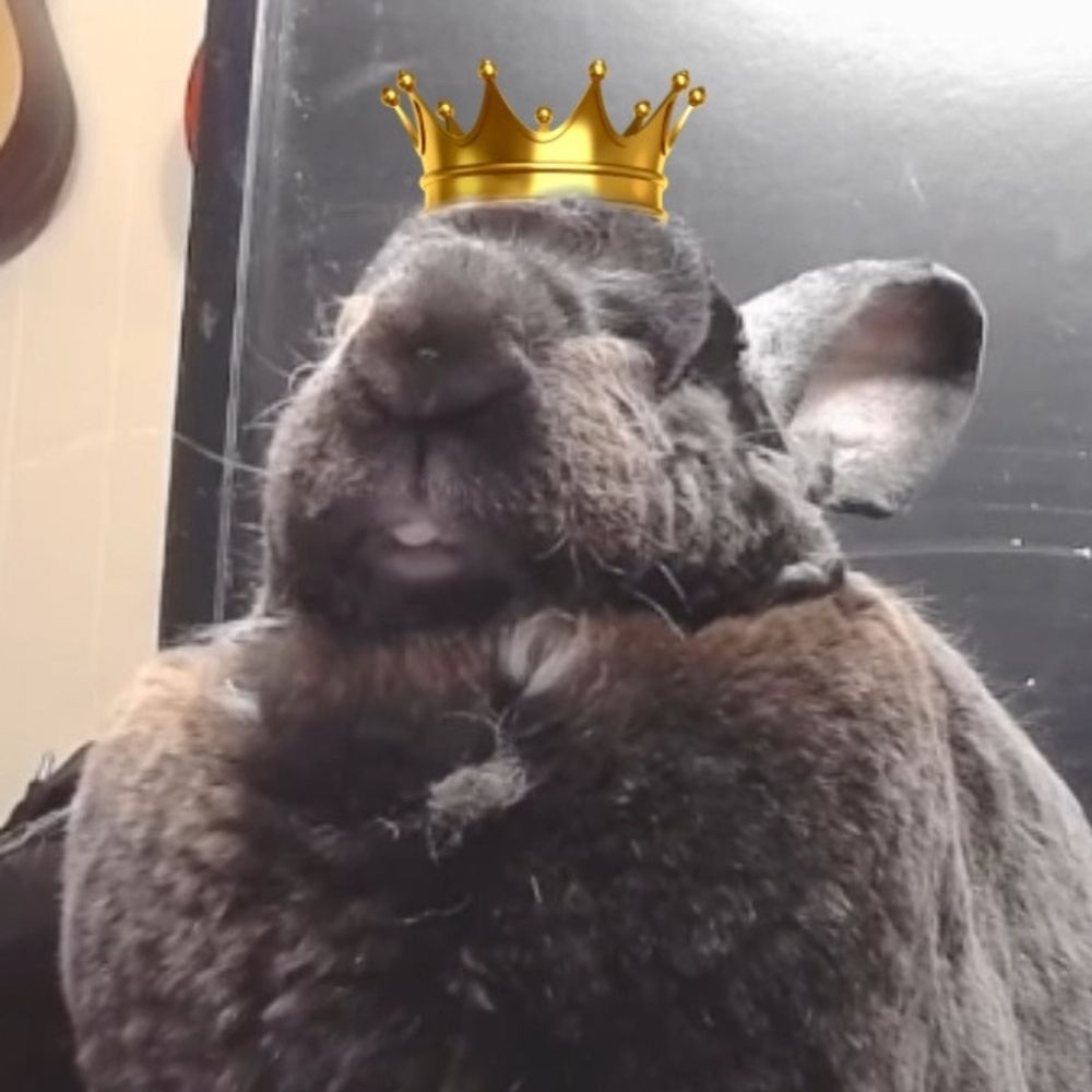 Tylerbro