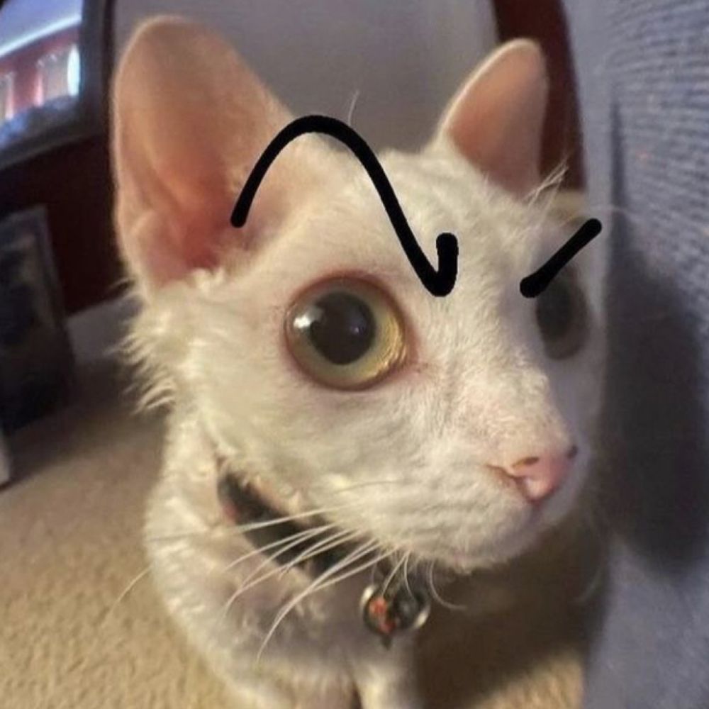 JamBro