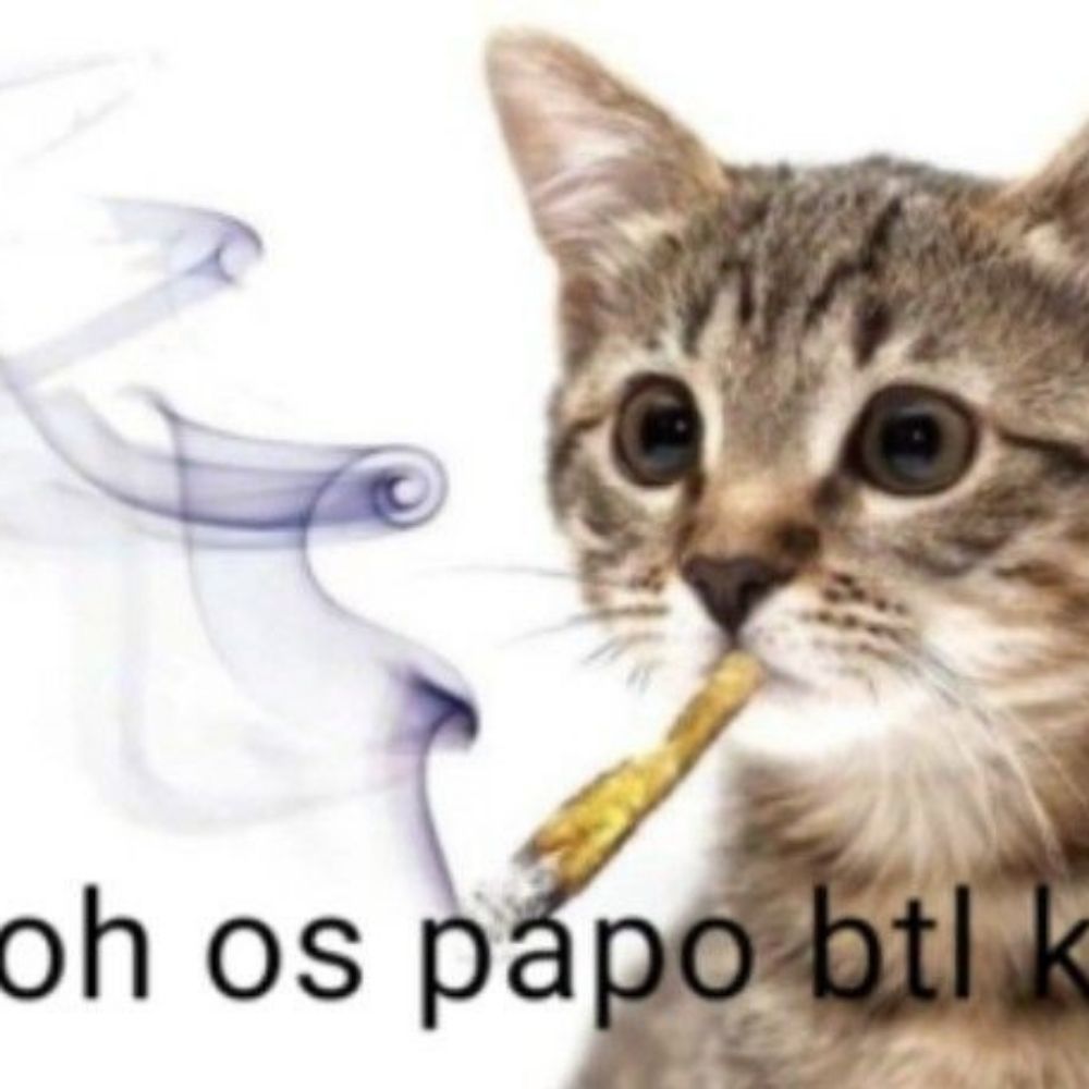 pedritu seu gay favoritu