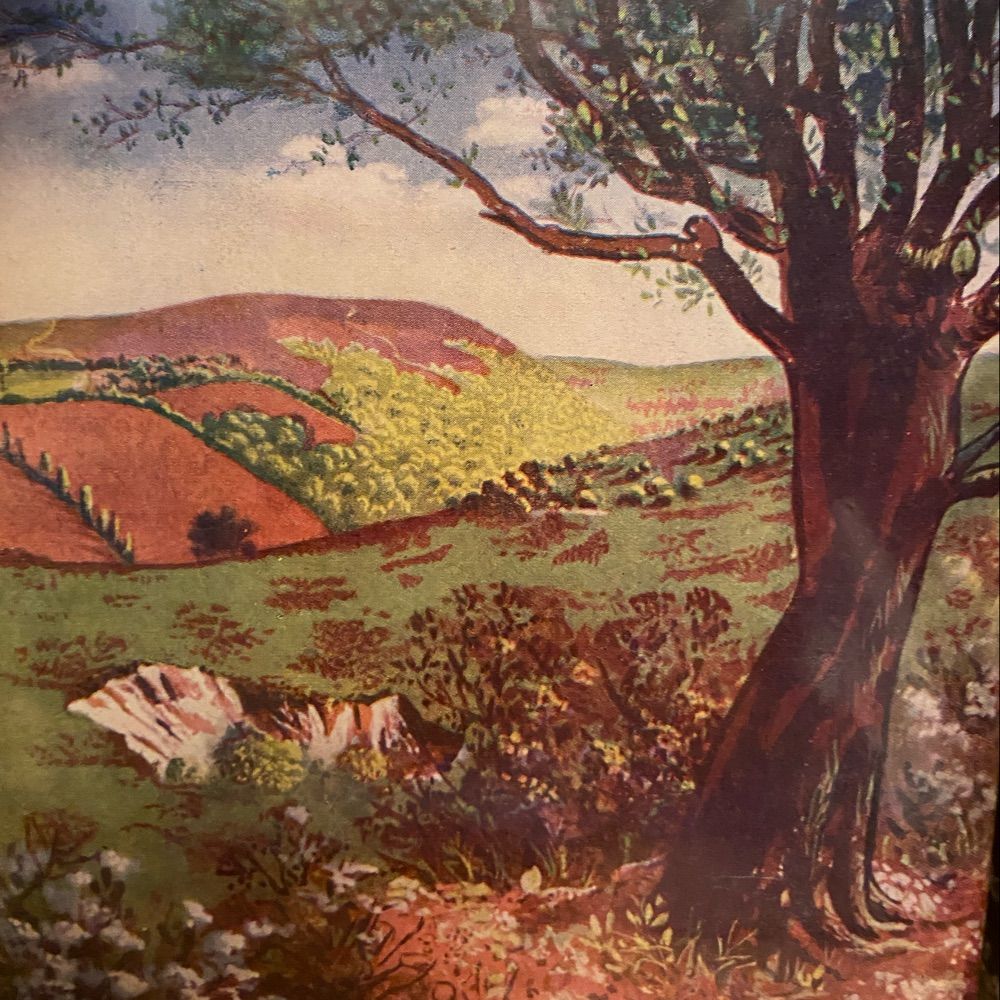Quantock Land & Lore