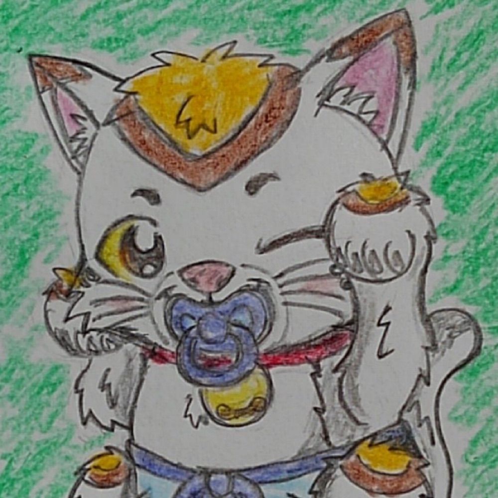 三毛猫のみーけ