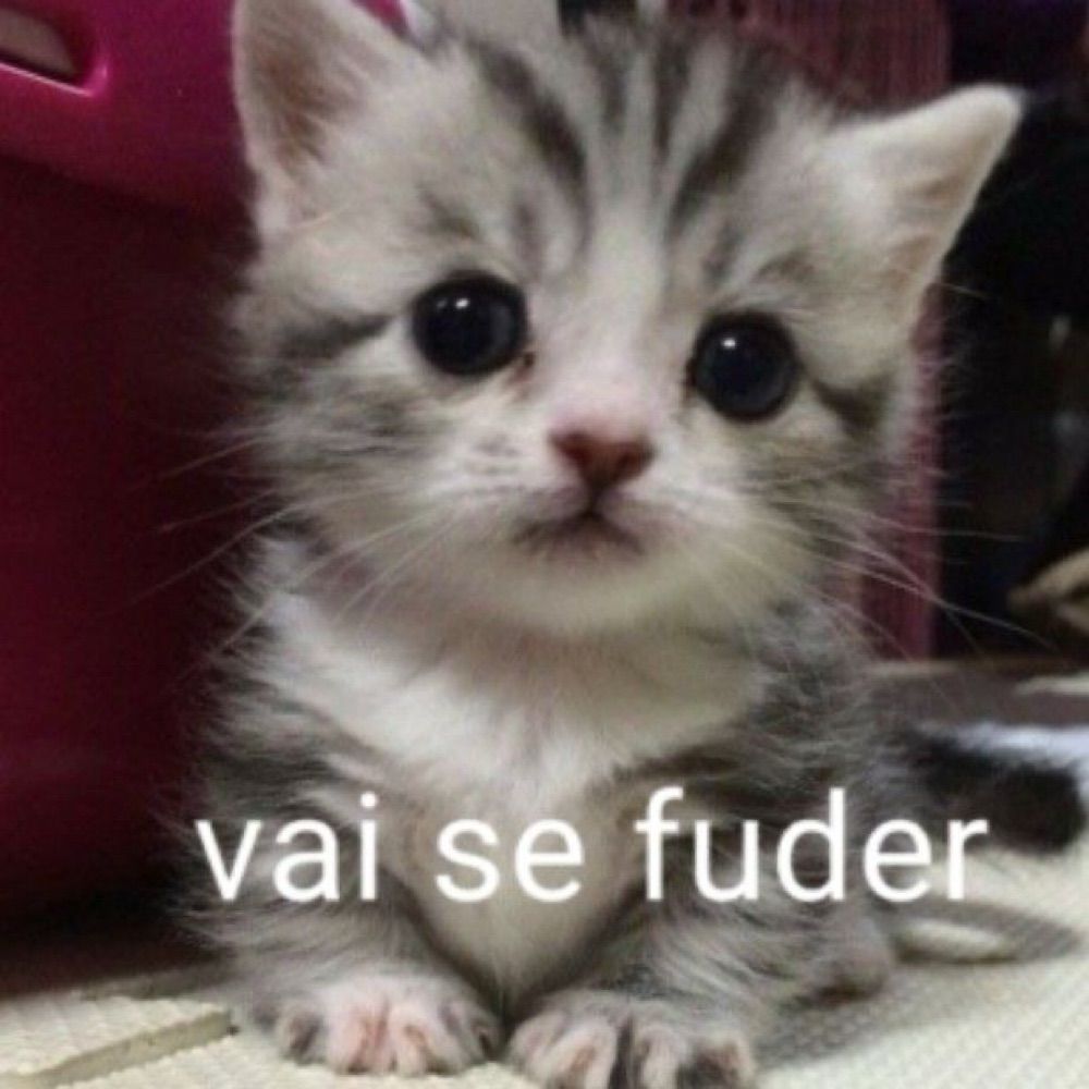 Danilinho sonhos largos