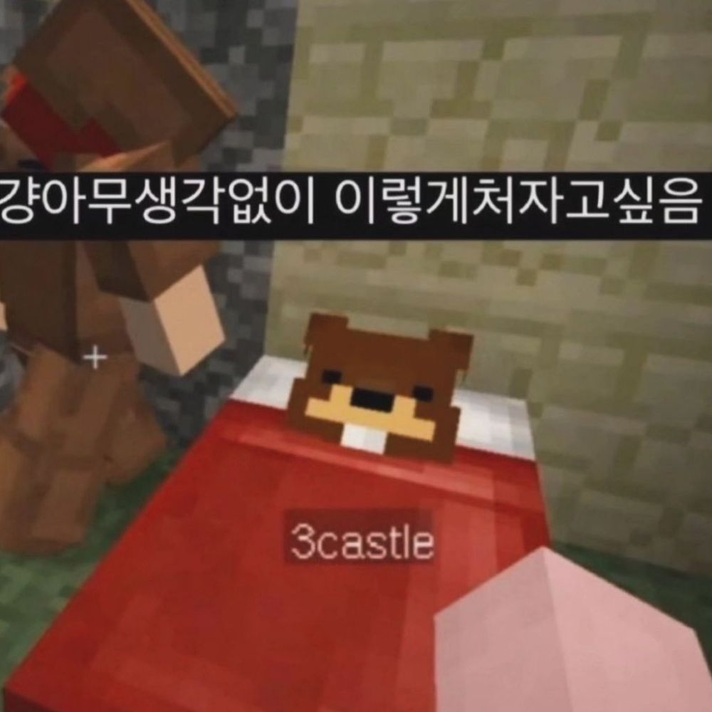 민지