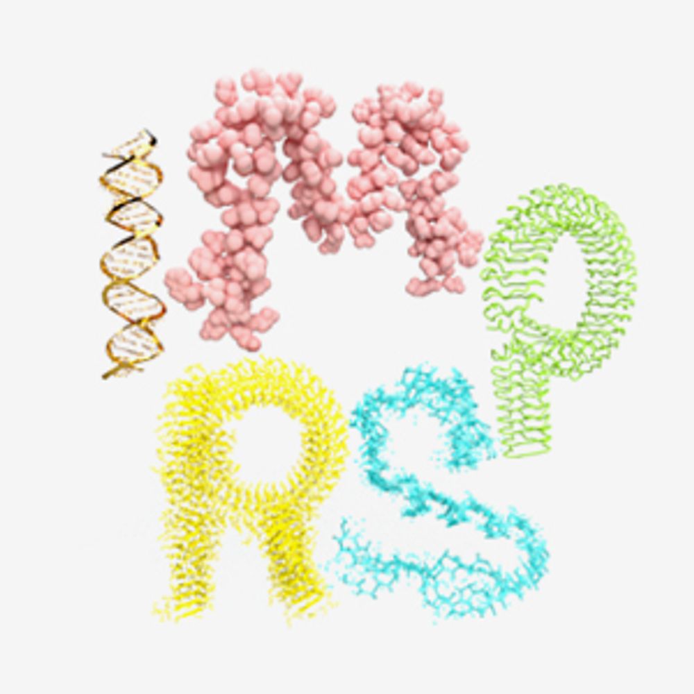 IMPRS on Cellular Biophysics