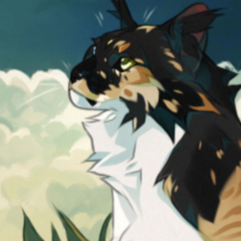 Warrior Cats: A RPG