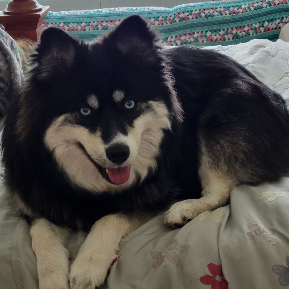 Aspen