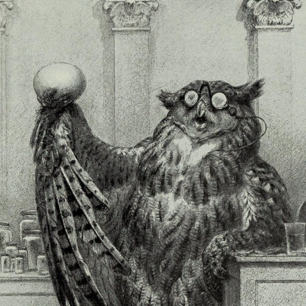 Egg