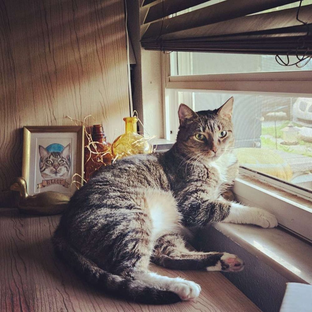 Tuna-No-Crust