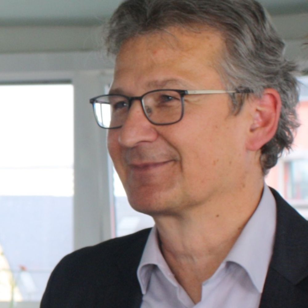 Ingo Schaub